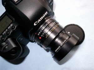 Leica Elmarit R 35mmF2.8＋EOS 5D MarkⅡ＠Leica R-EOS Adapter